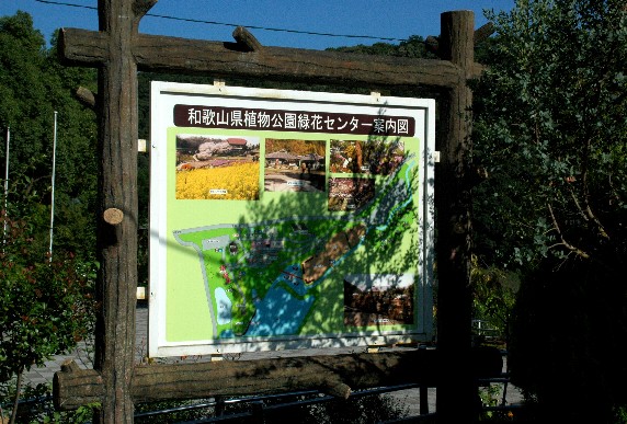 　　和歌山県植物公園緑花センター　_b0093754_23523172.jpg
