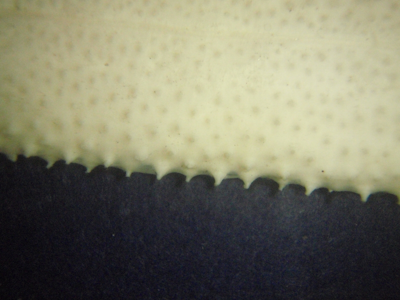 e0064457_21495672.jpg