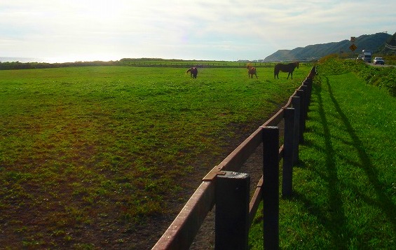 ＜2009年９月大型連休＞北海道・日高山脈の難関峰：「ペテガリ岳」  （前編）_c0119160_2156892.jpg