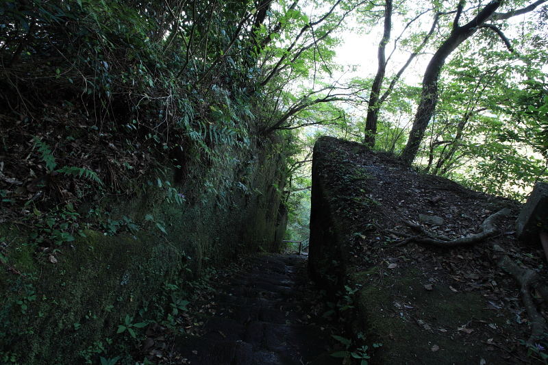 f0171065_19464453.jpg