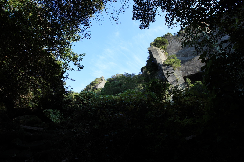 f0171065_19525323.jpg