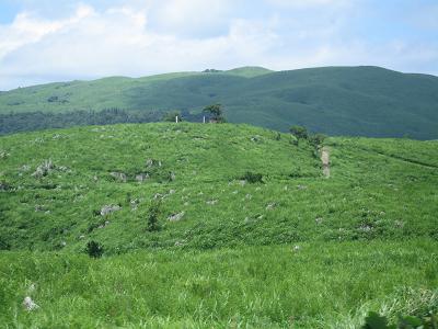 f0180266_18443930.jpg
