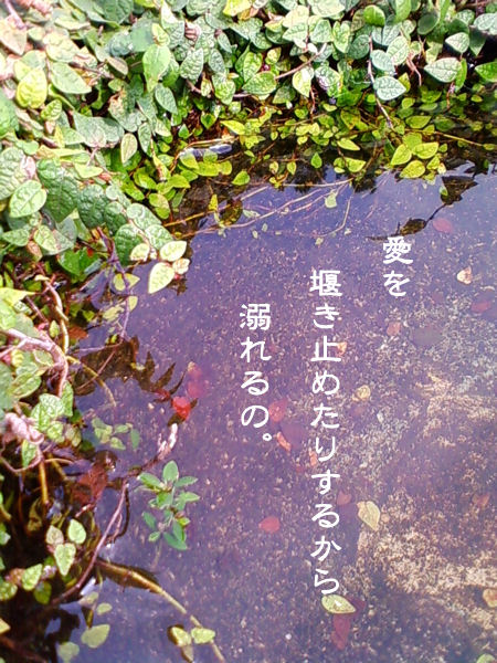 c0007384_15521812.jpg