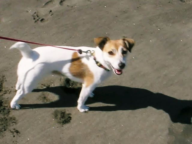 c0214384_1941031.jpg
