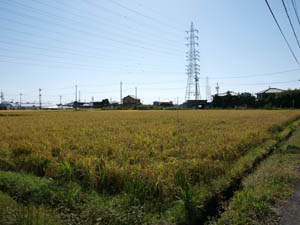 b0151189_0363383.jpg