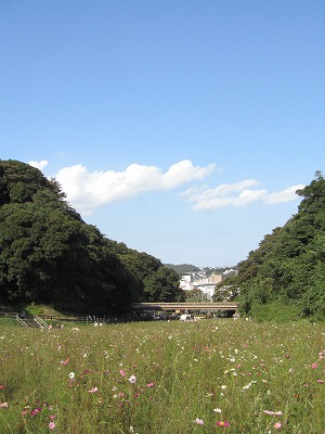 c0087094_17114742.jpg