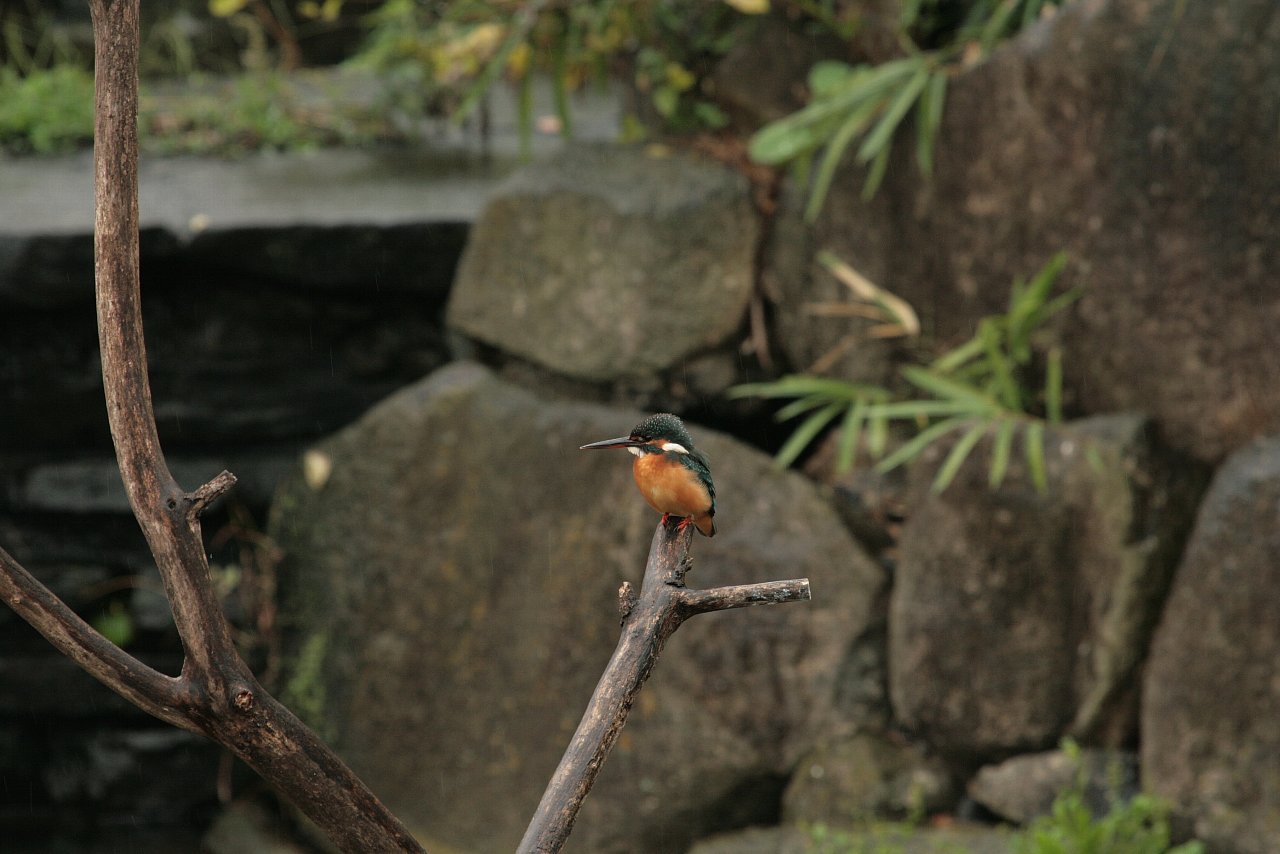 e0167295_21512622.jpg