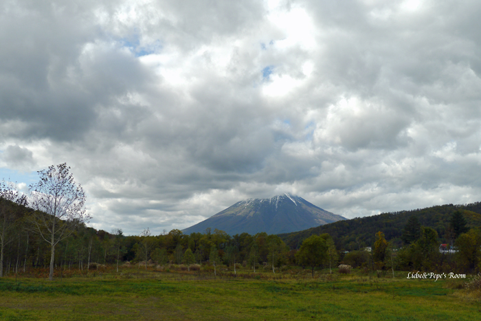 f0001895_19373671.jpg