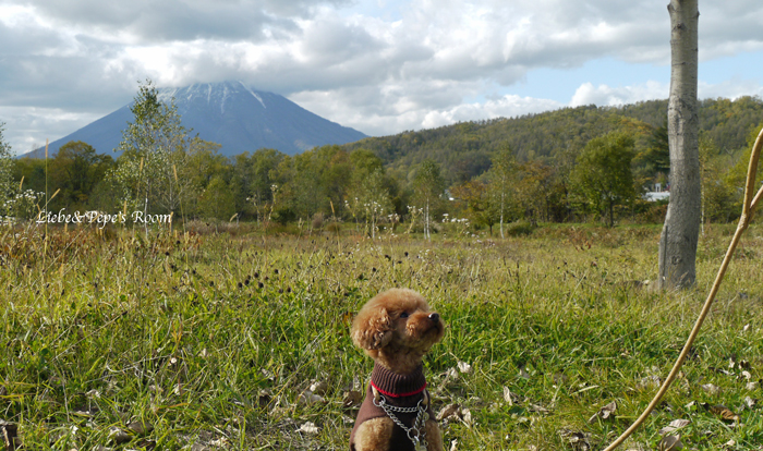 f0001895_2013530.jpg