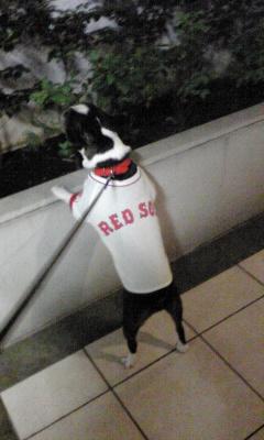 c0206898_23473988.jpg