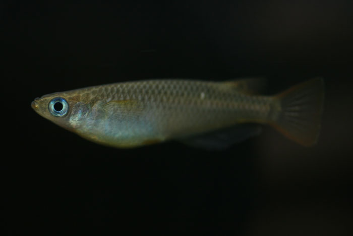 a0012103_6163942.jpg