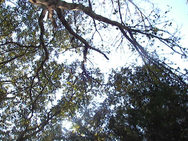 f0038407_23222798.jpg
