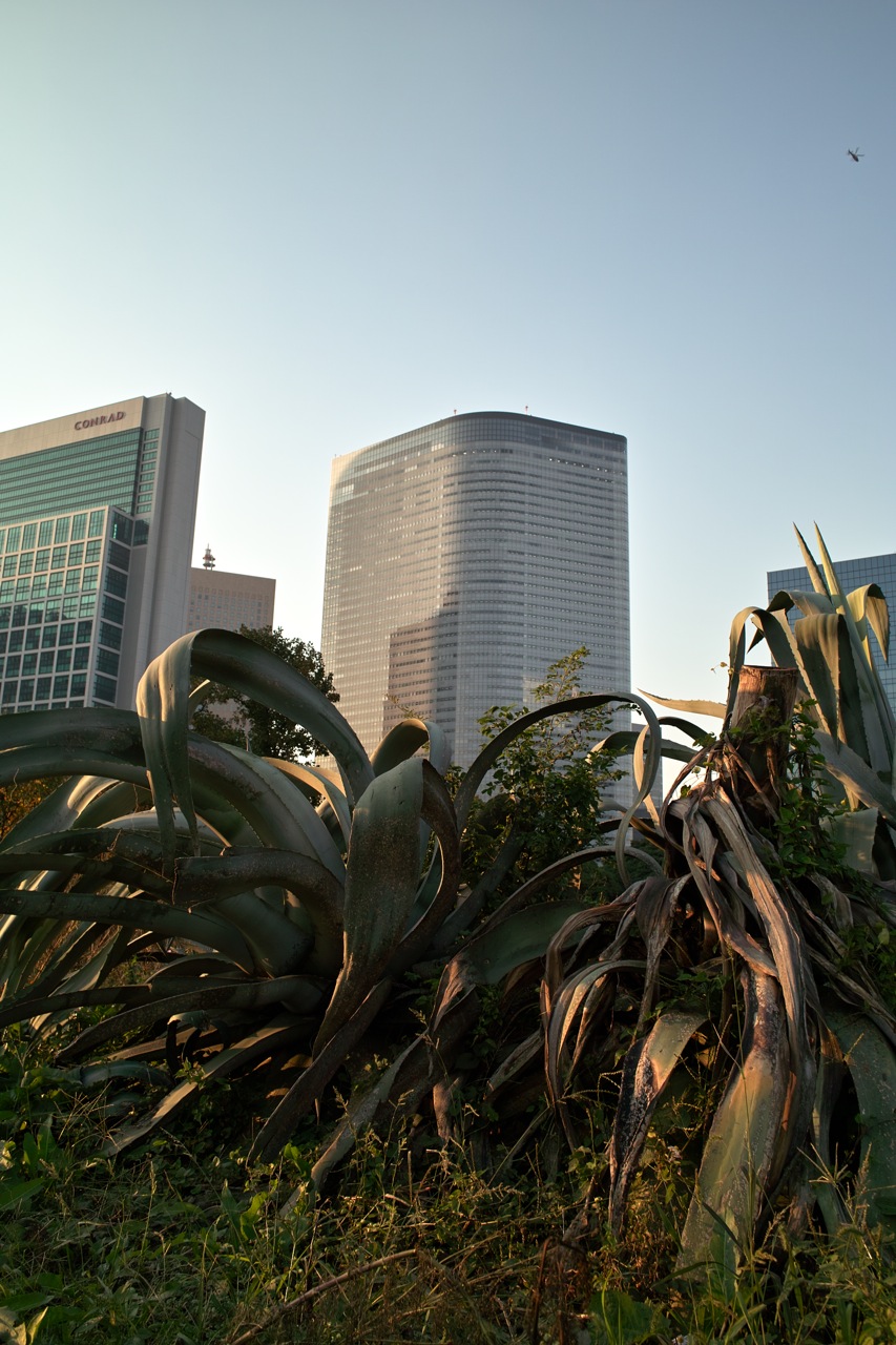 b0137311_21325217.jpg