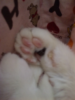 c0201113_0242991.jpg