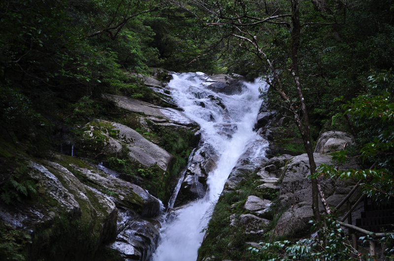 f0132116_14269.jpg