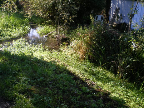 c0124619_192055100.jpg