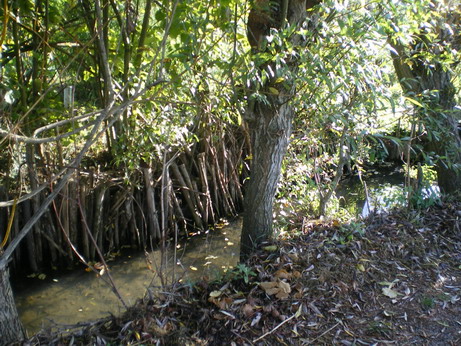 c0124619_19225086.jpg