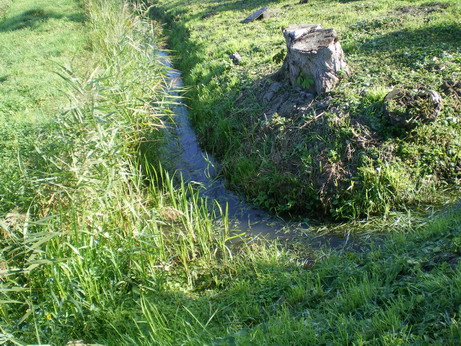 c0124619_273958.jpg