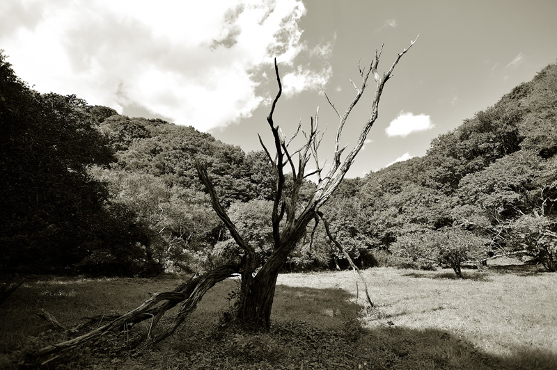 a0059621_01026.jpg