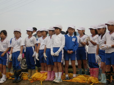 北新庄小学校の子供達が大豆の収穫をしました_e0061225_171273.jpg