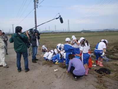 北新庄小学校の子供達が大豆の収穫をしました_e0061225_17185185.jpg