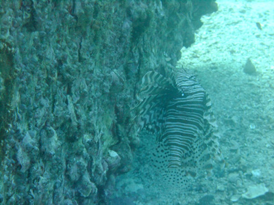 d0152629_2303285.jpg
