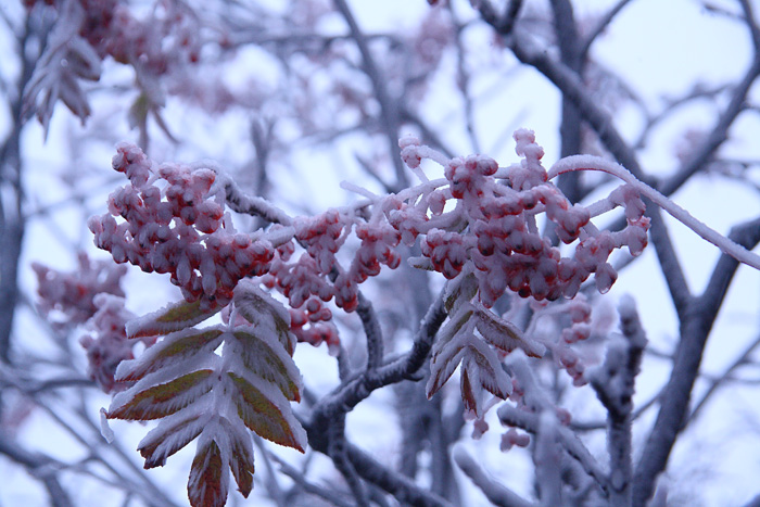 e0025930_20122537.jpg