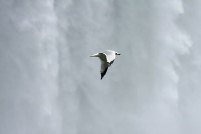 c0211532_1246318.jpg