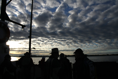 011 Toronto Islands ~今度こそ野鳥の会~_c0211532_3514562.jpg