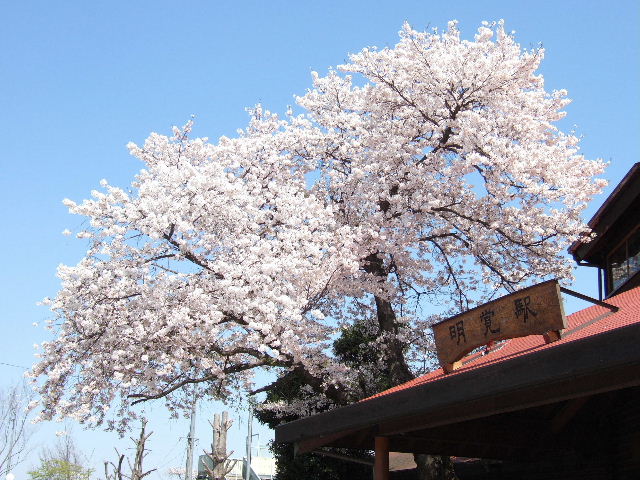 e0064133_04333.jpg