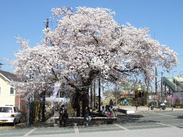 e0064133_0451.jpg