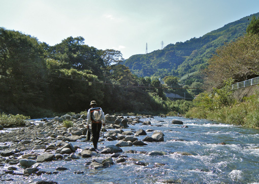 興津川、下流に行ってみたものの・・・_a0056140_2151350.jpg