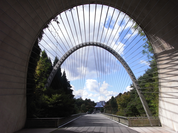 b0019140_18225537.jpg