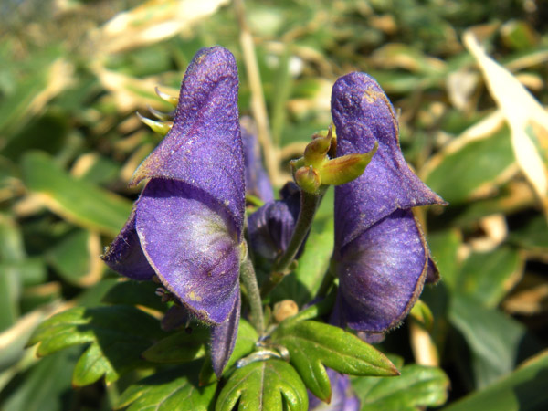 c0047341_7491069.jpg