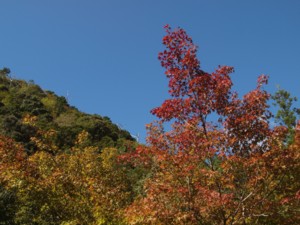 c0119142_252217.jpg