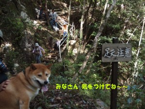 c0119142_3482981.jpg