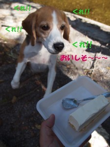 c0119142_8434228.jpg
