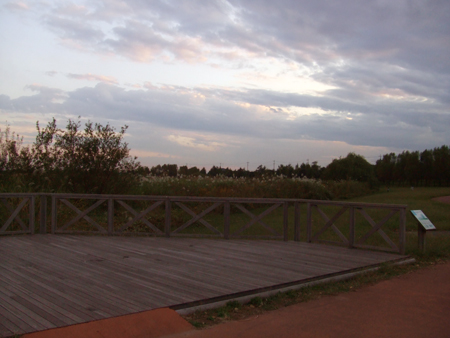 c0201143_22504494.jpg