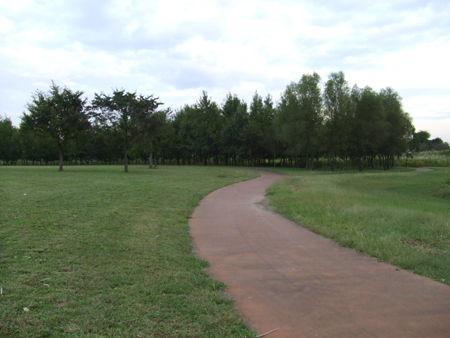 c0201143_22515934.jpg