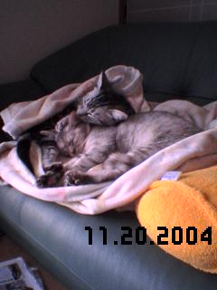 e0179943_21403770.jpg