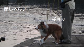 かしおがわ_e0195743_0453223.jpg