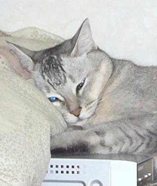 寒くなってきたので_f0002743_14132613.jpg