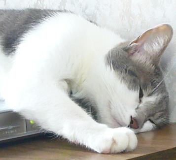 寒くなってきたので_f0002743_14143967.jpg