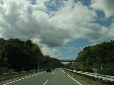 e0126046_2342478.jpg