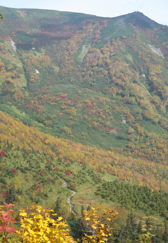 b0147449_18391515.jpg