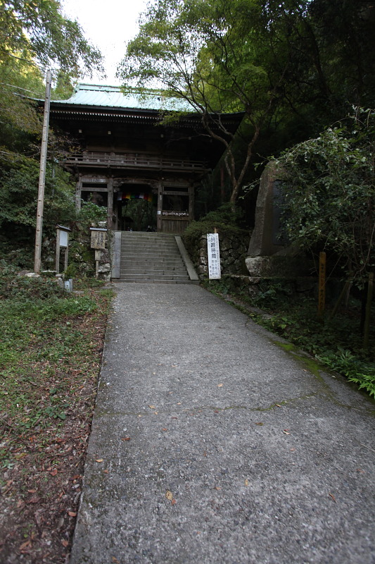 d0110849_133477.jpg