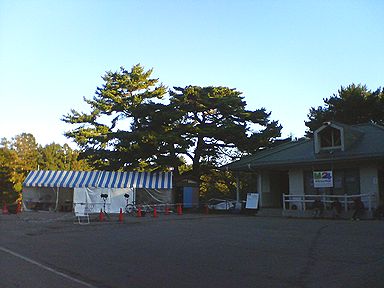 a0096557_1332672.jpg
