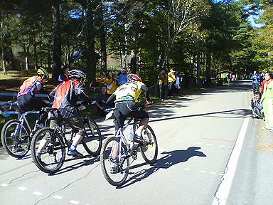 a0096557_13543795.jpg