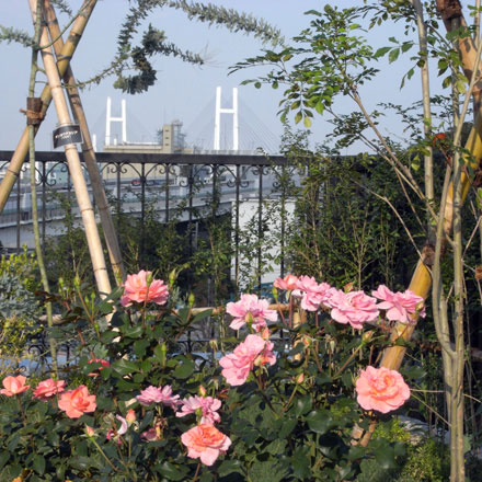 江の島とアメリカ山公園_f0117059_21223820.jpg