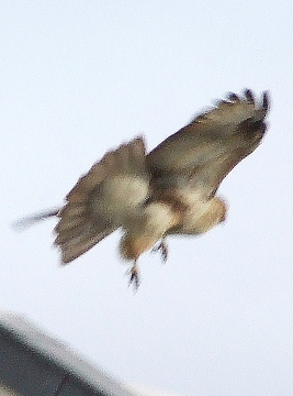 b0165760_22432550.jpg